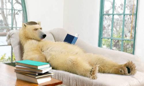 pérdida de músculo