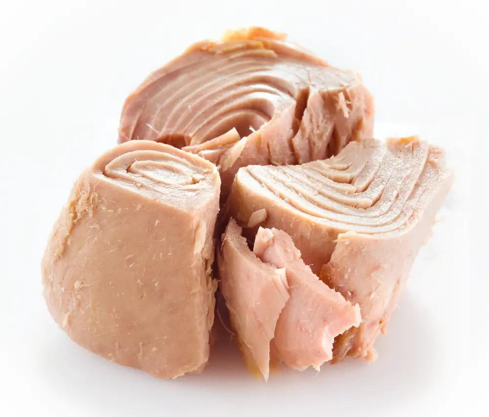 atun en lata para perros