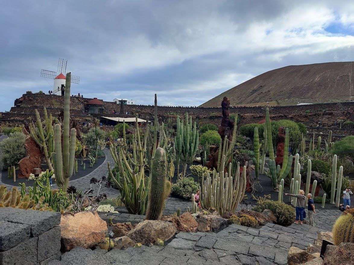 que ver en lanzarote jardin de cactus