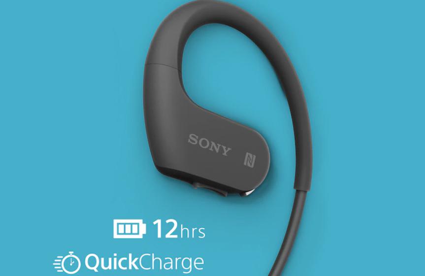 Sony NW-WS623 - Batería