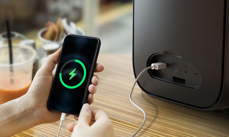 Tronsmart Halo 100 - Batería