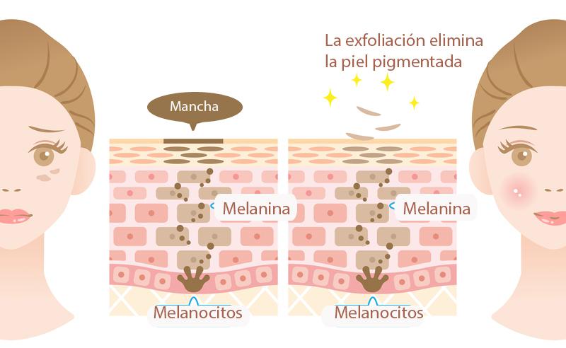 Exfoliar y regenerar la piel para quitar manchas