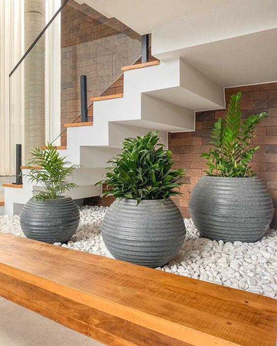 Jardineras Interiores Modernas Y De F Cil Mantenimiento Decoraci N 2615342 33