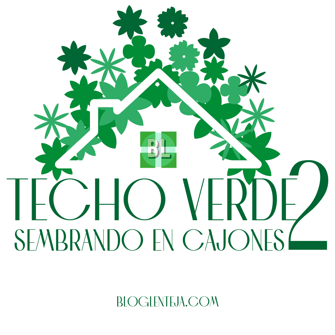 Techo verde 2: sembrando en cajones