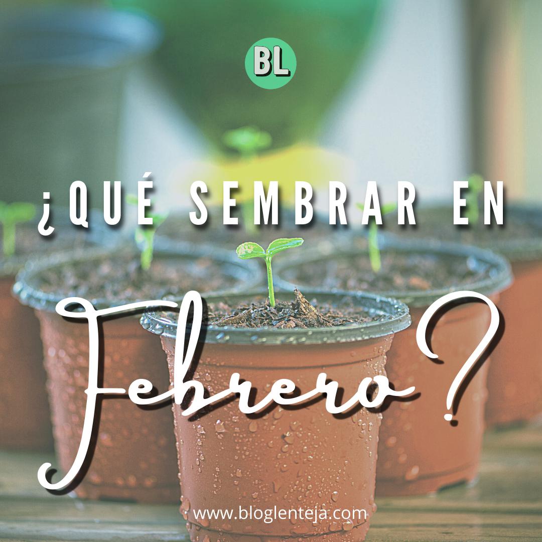 ¿Qué sembrar en Febrero?
