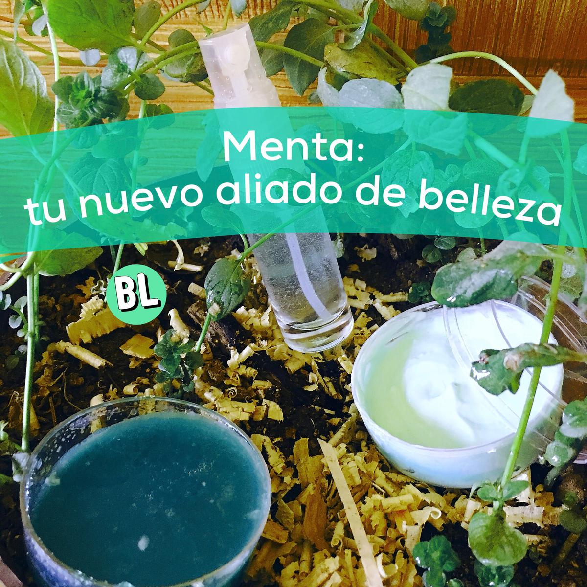 Menta: tu nuevo aliado de belleza