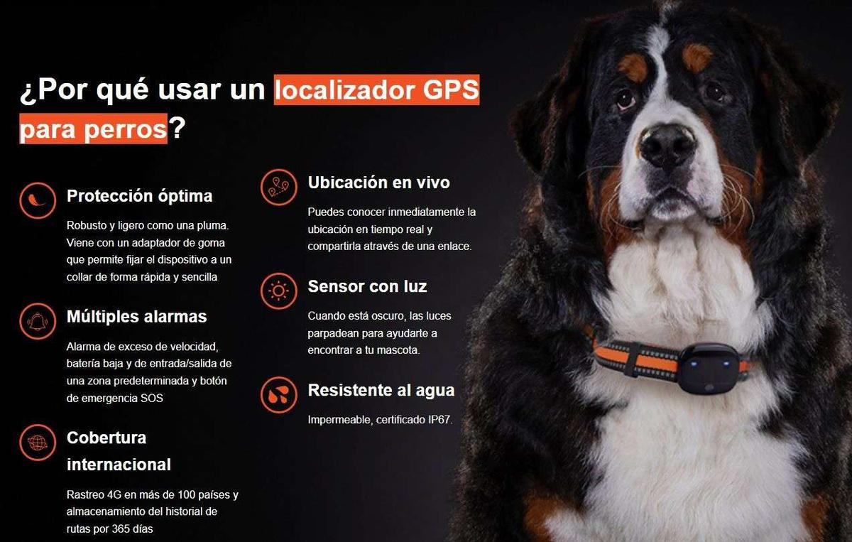 localizador gps para perros
