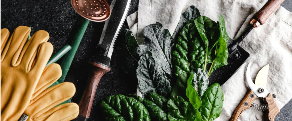 Herramientas de jardín