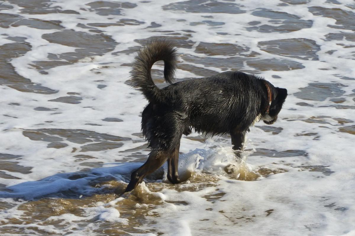 evita que beba agua salada