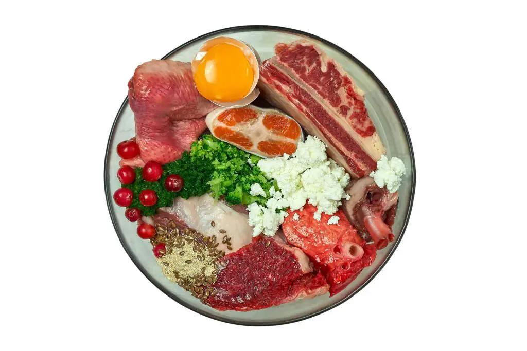 recetas halloween para perros