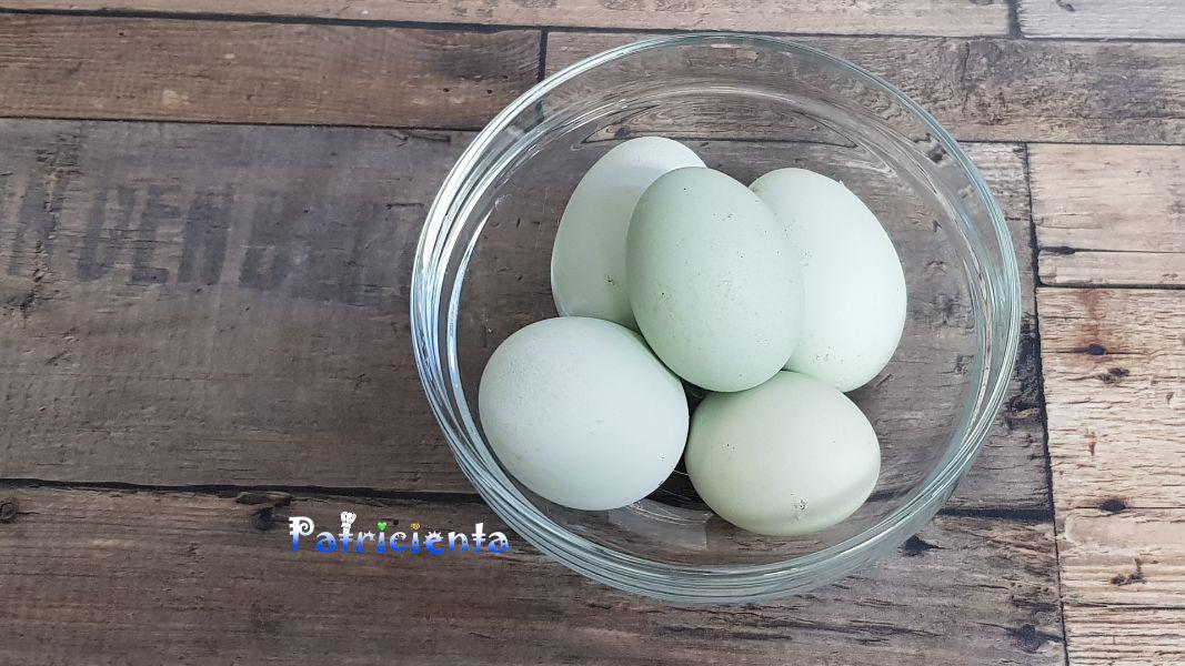 Huevos azules de gallinas Araucanas. Patricienta Cook