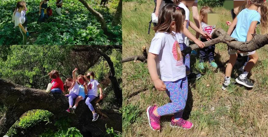 Niños jugando en la naturaleza