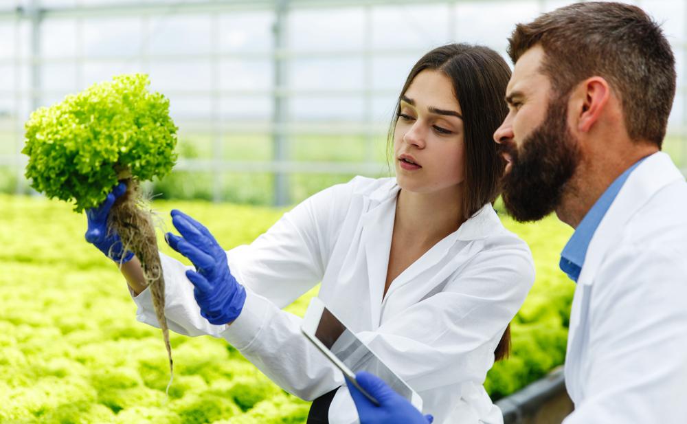 Ventajas de los Registros de APPCC electrónicos