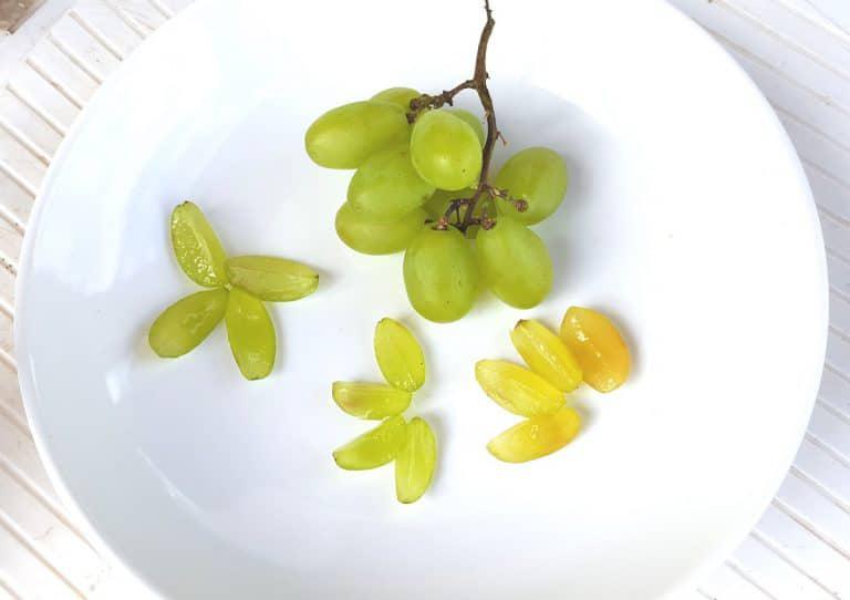 baby led weaning seguro