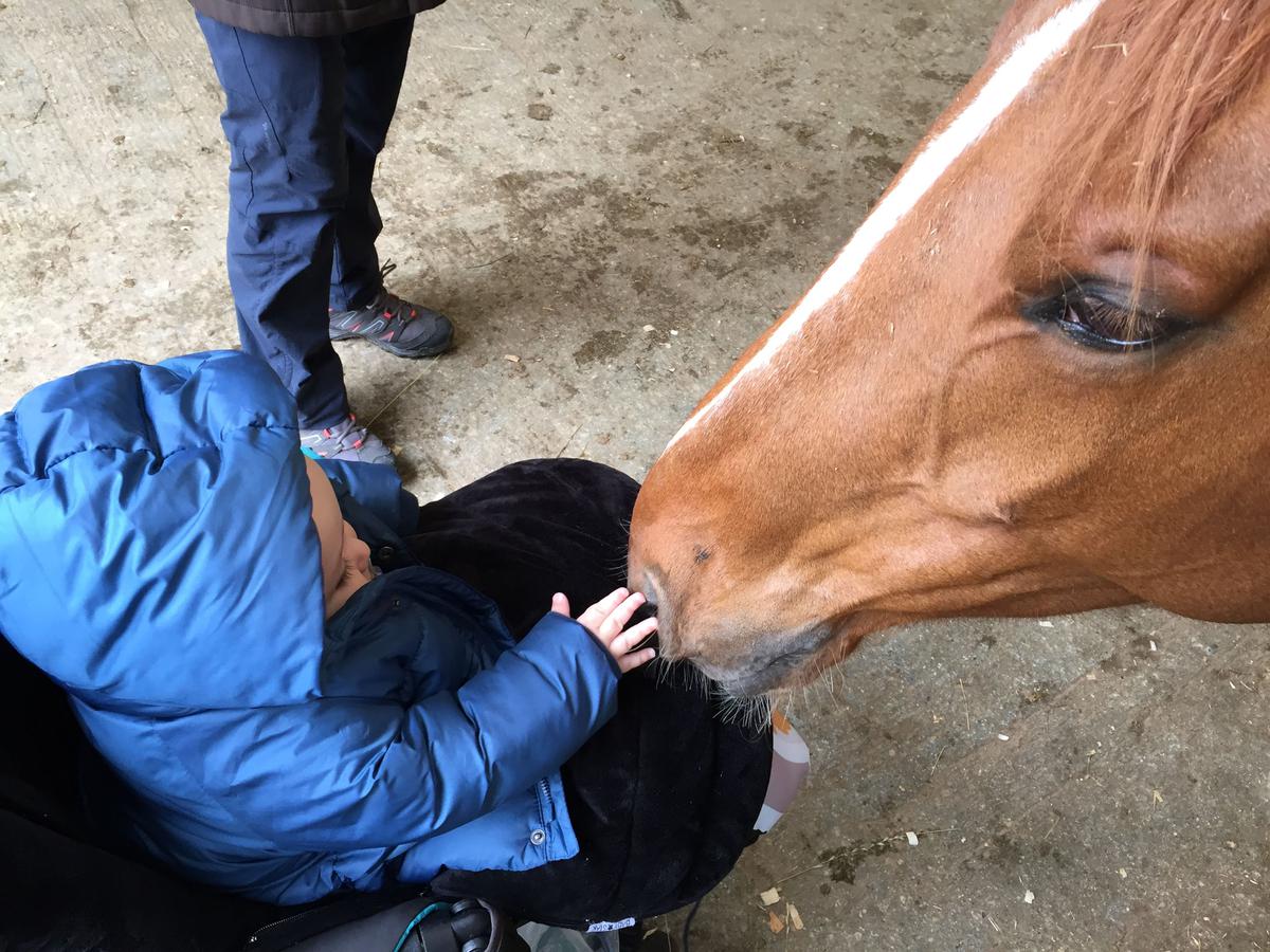 mascotas y niños descubriendo la naturaleza