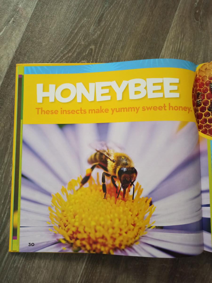 uno de los mejores juguetes estas navidades