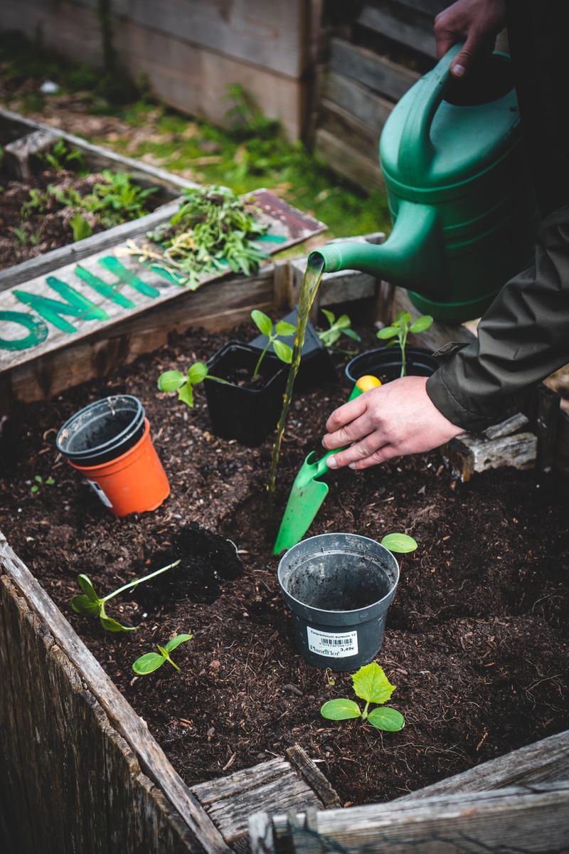 Ideas para montar un huerto en tu terraza o jardín 
