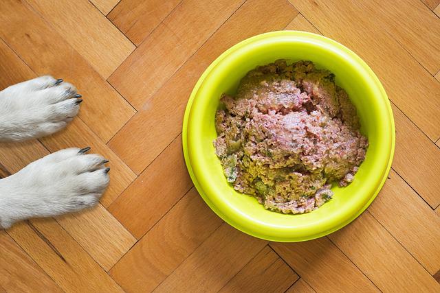 Recetas de comida para perros: dieta casera para perros