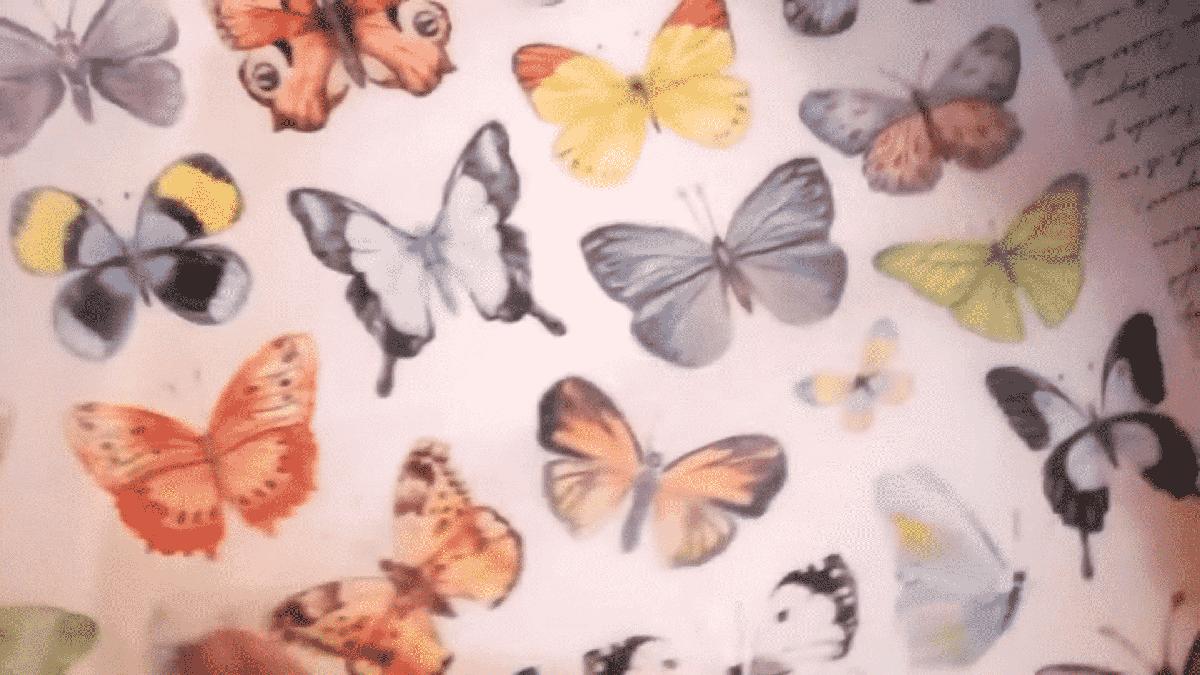 mariposas servilleta