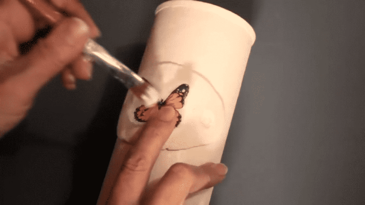 mariposa tubo de carton pintura