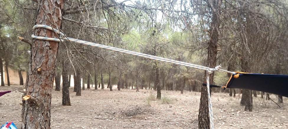 Foto para ver como se amarra después la tela de licra a los árboles