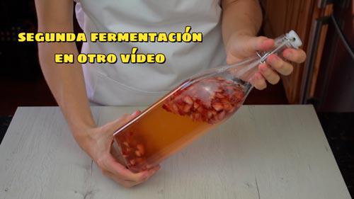 segunda fermentacion kombucha