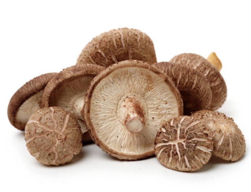 setas shiitake