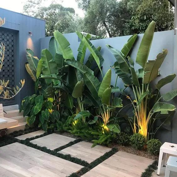Diseños de jardines tropicales