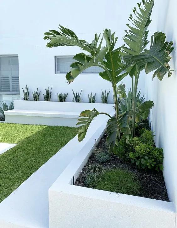Jardineras para patios traseros