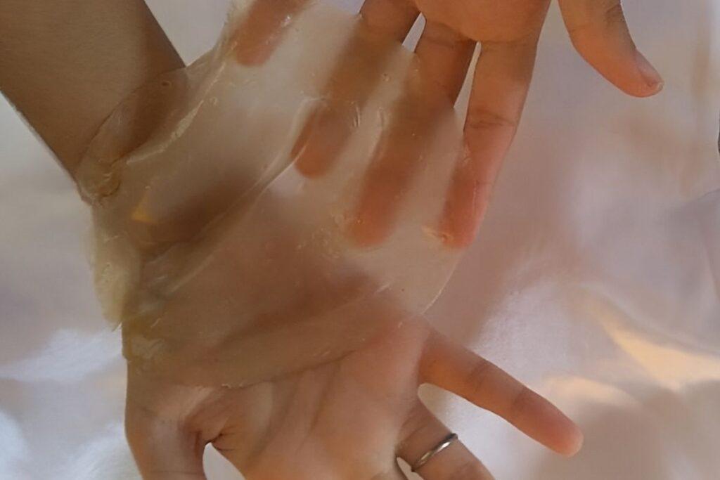 Estudiantes crean bioplástico utilizando planta acuática 2