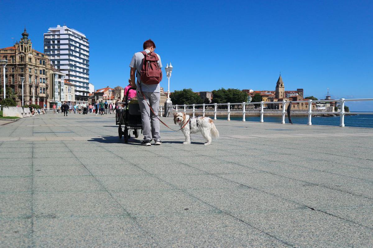 Gijón con perro