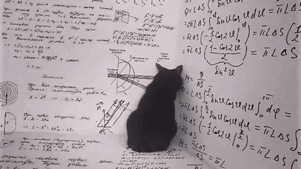 El gato de Schrödinger: el experimento mental que desafía la lógica ...