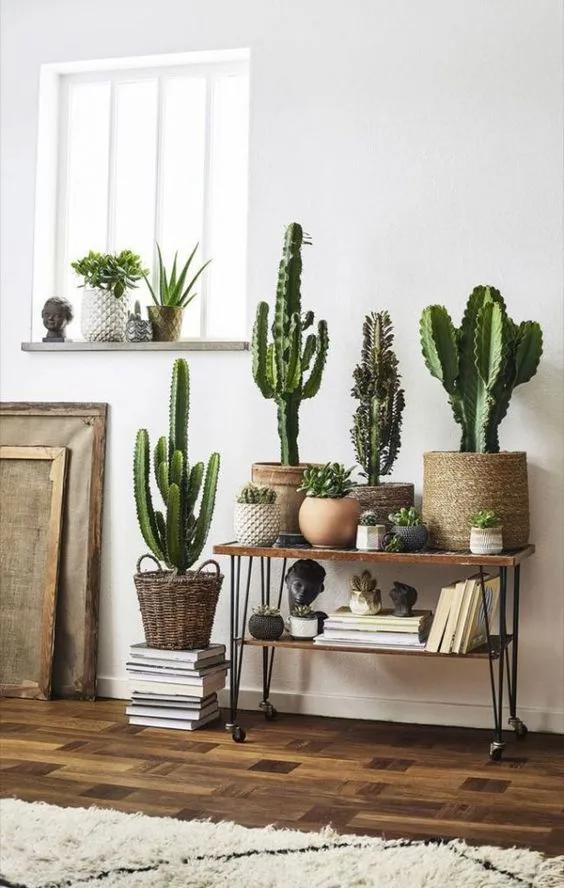 Saturar Puñalada implicar 13 ideas para decorar tu casa con cactus | Decoración