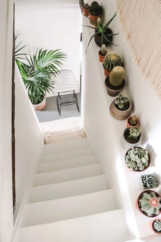 Ideas para decoración de interiores y exteriores con cactus