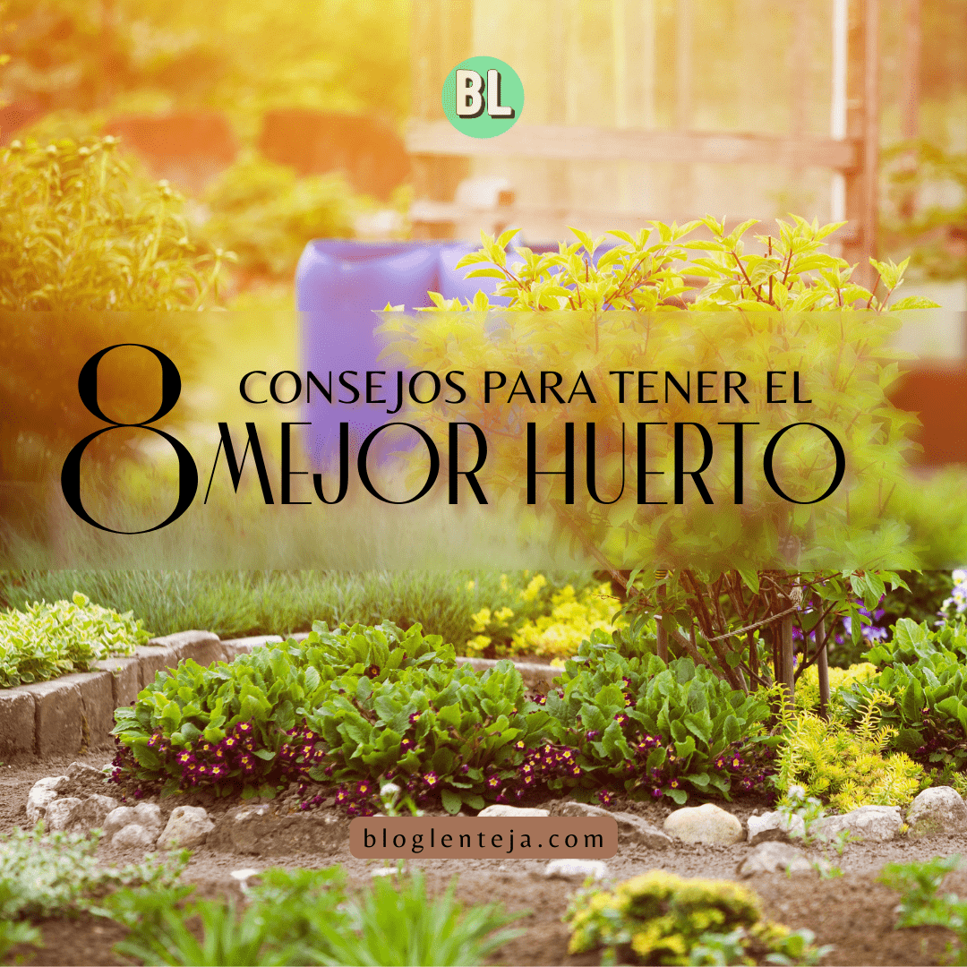 8 consejos para tener el mejor huerto