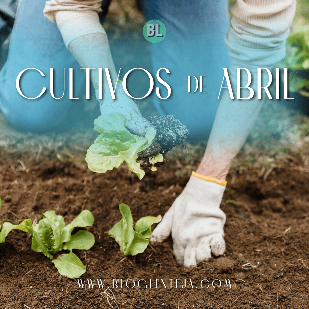 Cultivos de Abril