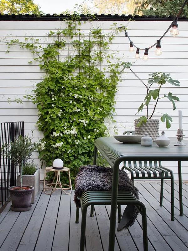 Plantas variadas para decorar una terraza