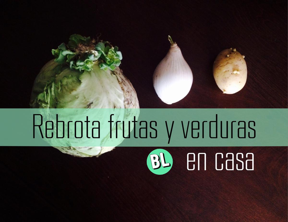 Rebrota frutas y verduras en casa