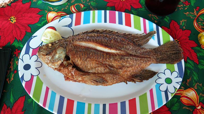 Como hacer mojarra frita dorada