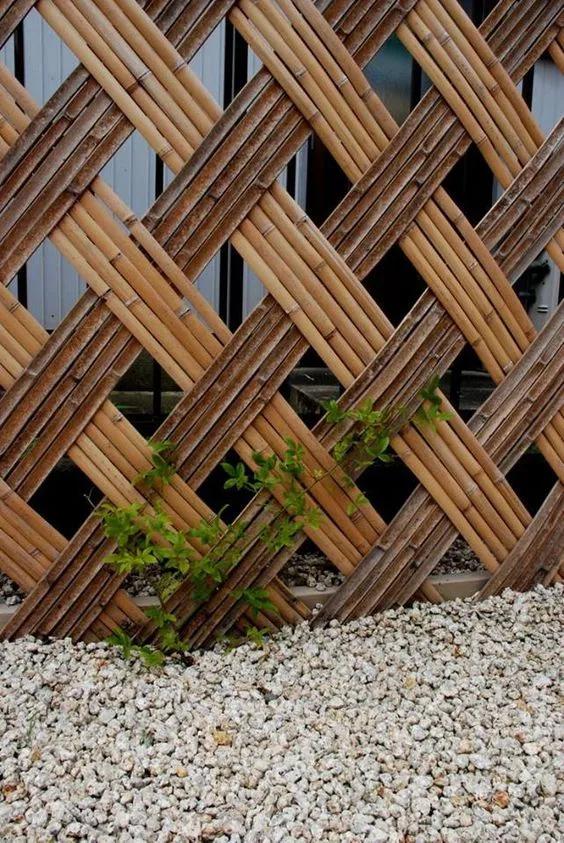 Ideas con bambú para exteriores de casas residenciales