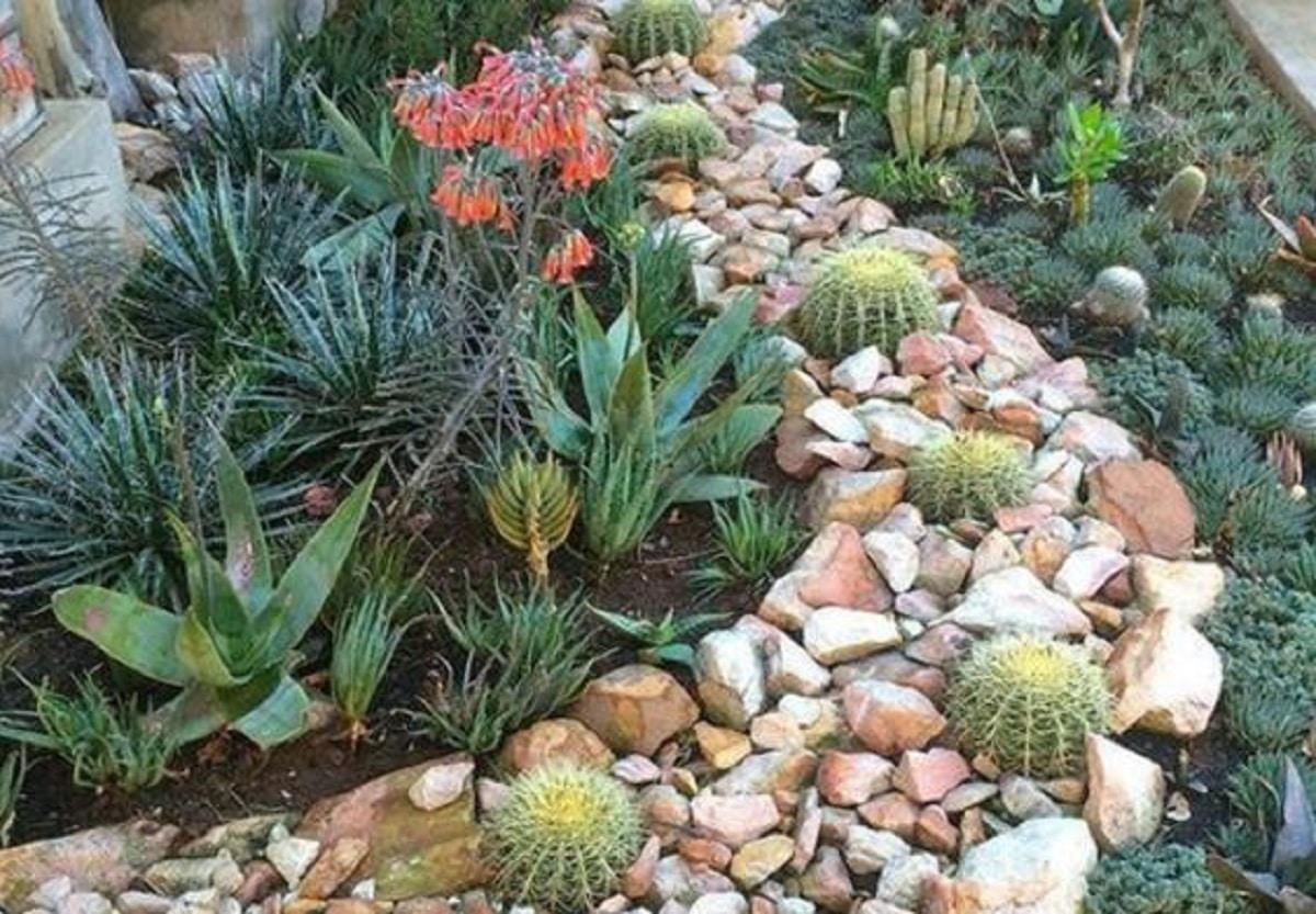 decorar-jardín-con-piedras-y-cactus