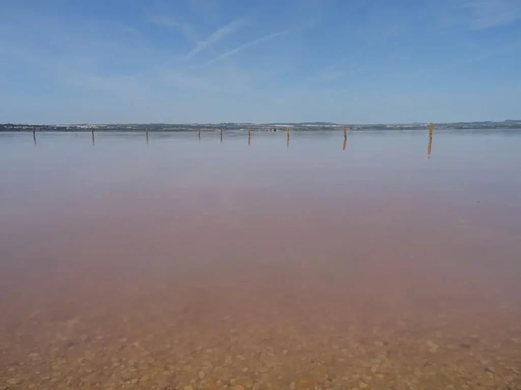 Laguna Rosa de Torrevieja