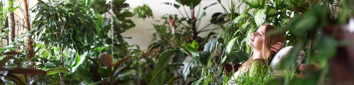 ¿Por qué las Plantas son la Solución para Reducir el Estrés y la Ansiedad?