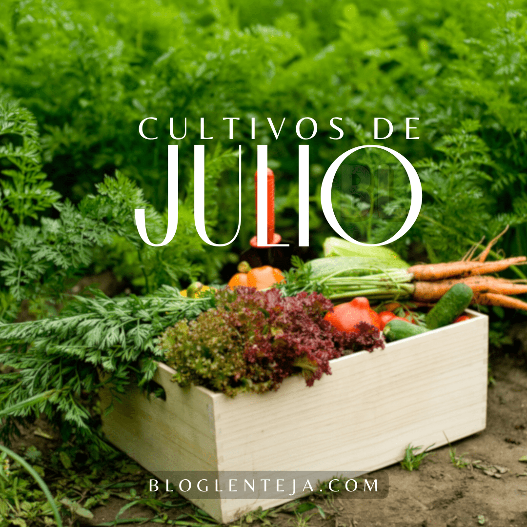 Cultivos de Julio