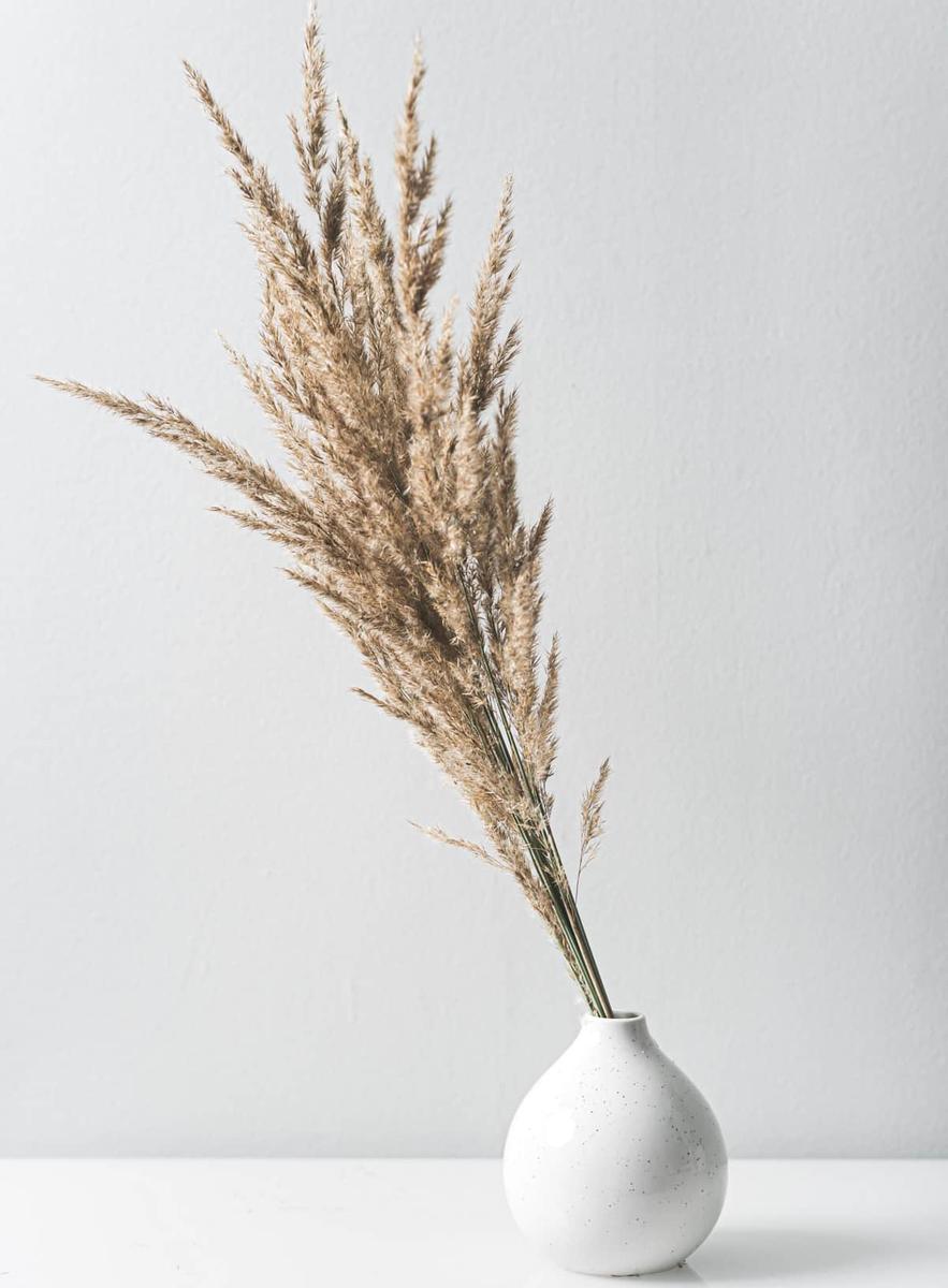 jarrones-con-plantas-secas