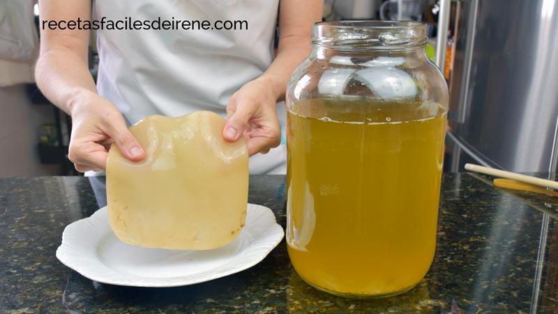 Cómo hago la KOMBUCHA casera paso a paso