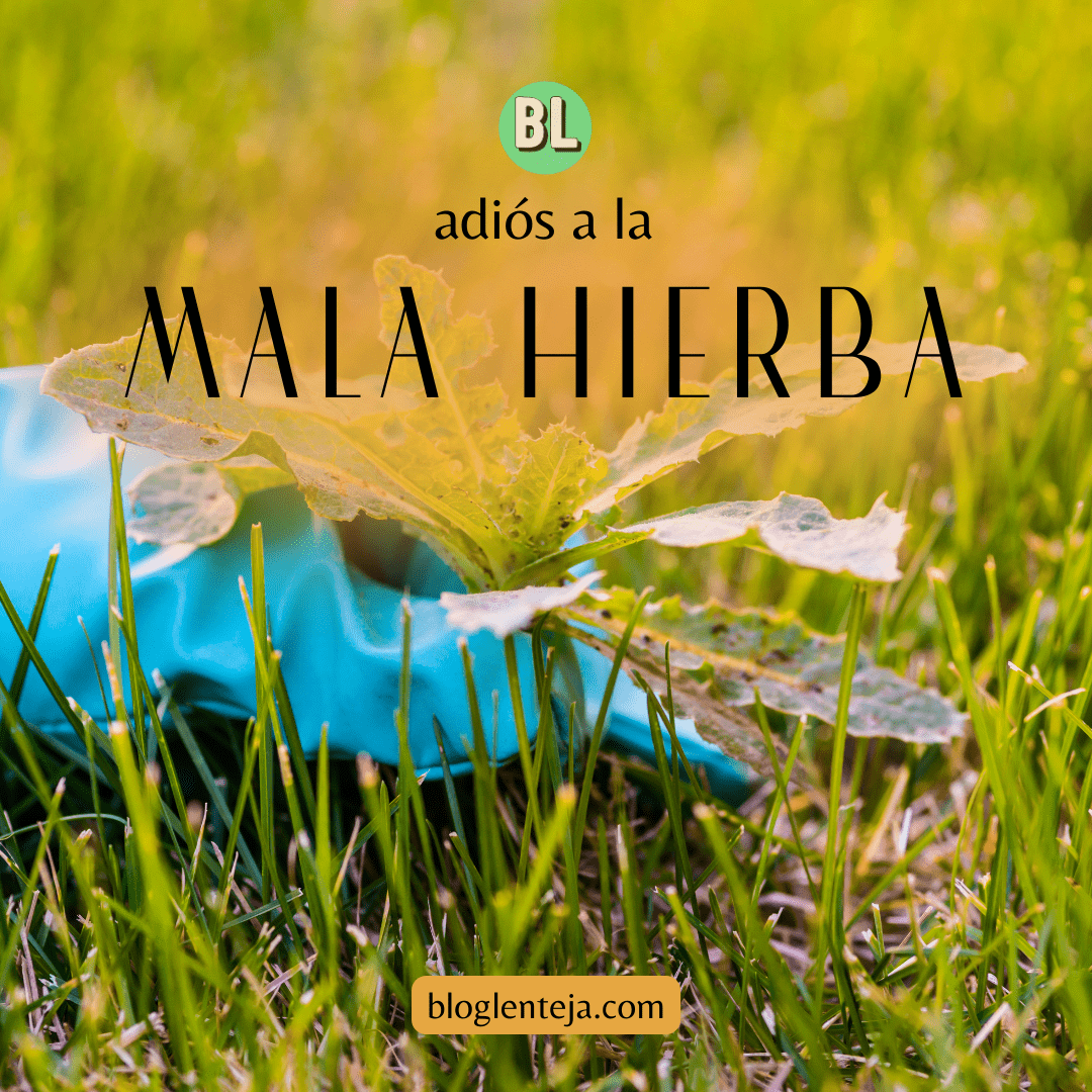 ¡Adiós a la mala hierba!