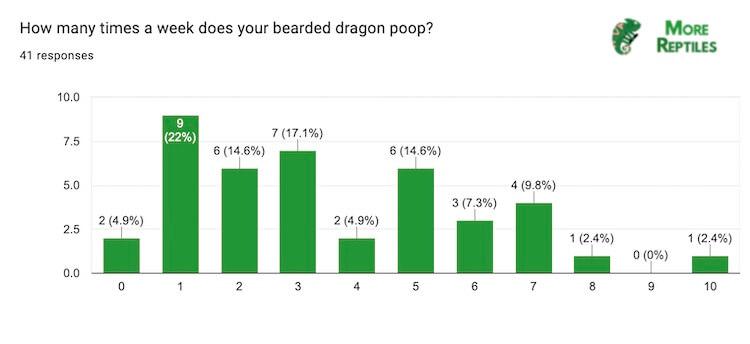 Resultados de la encuesta sobre pipí o caca del dragón barbudo