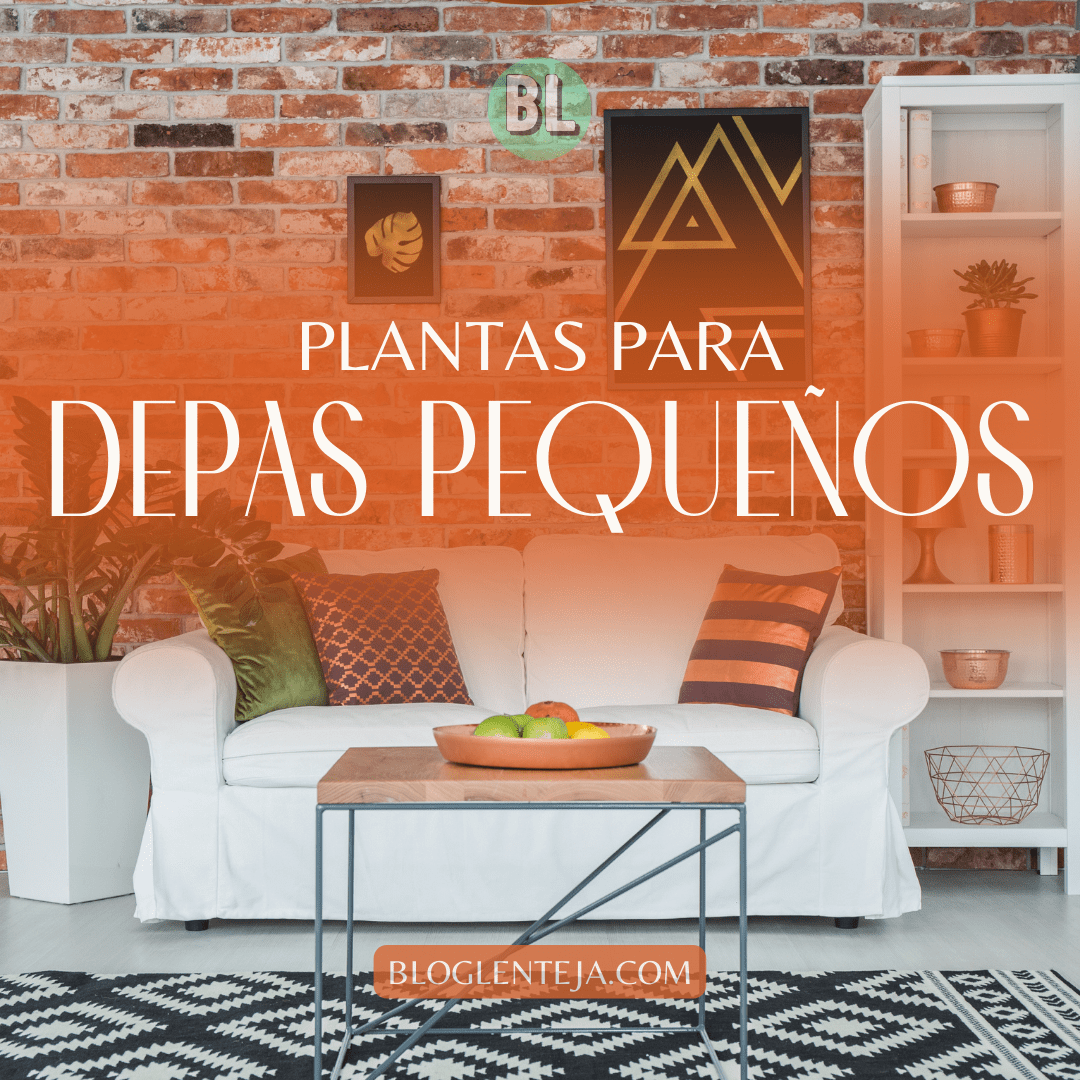 Plantas para depas pequeños