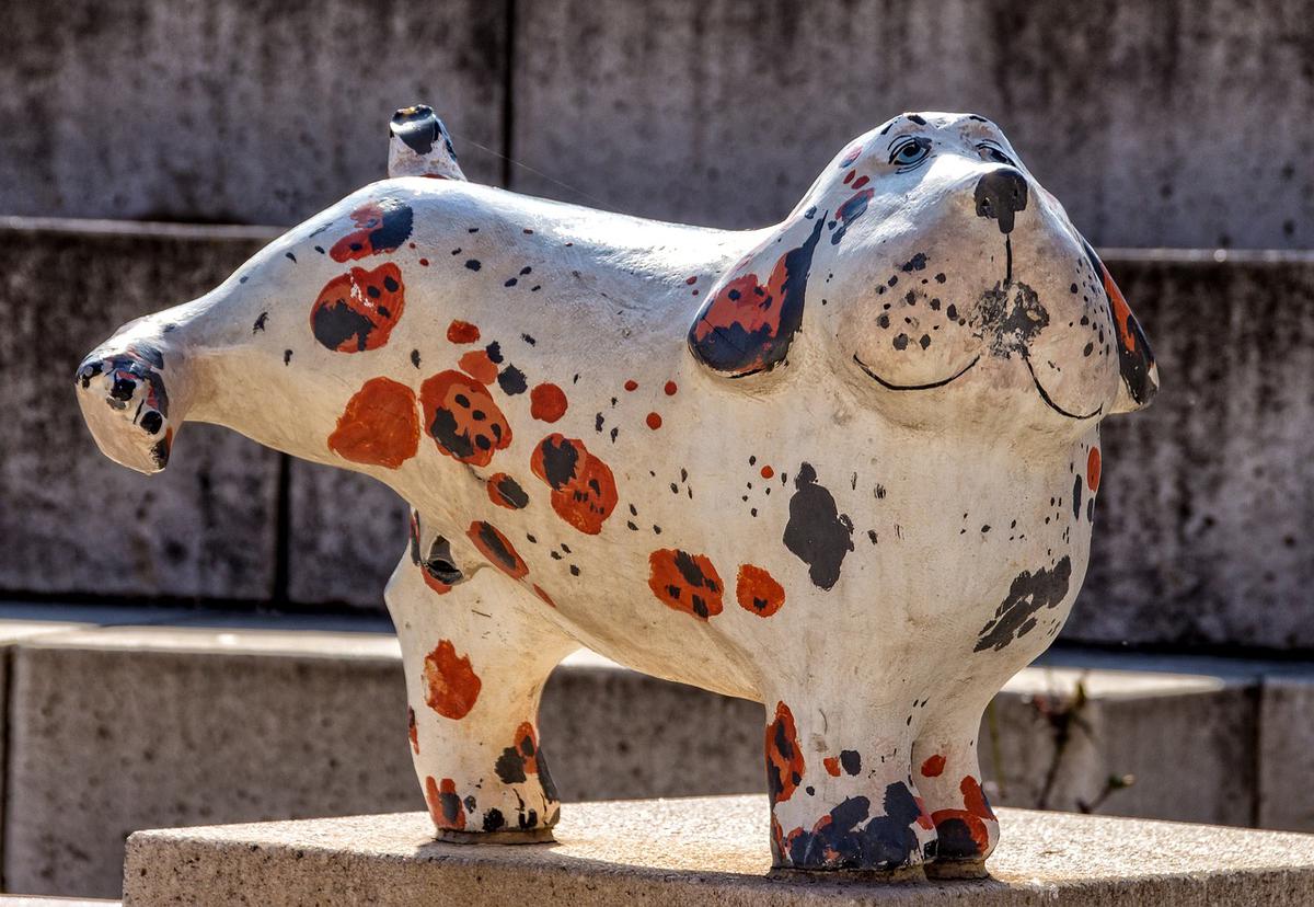 Mi perro se orina dentro de la casa, ¿qué hago?